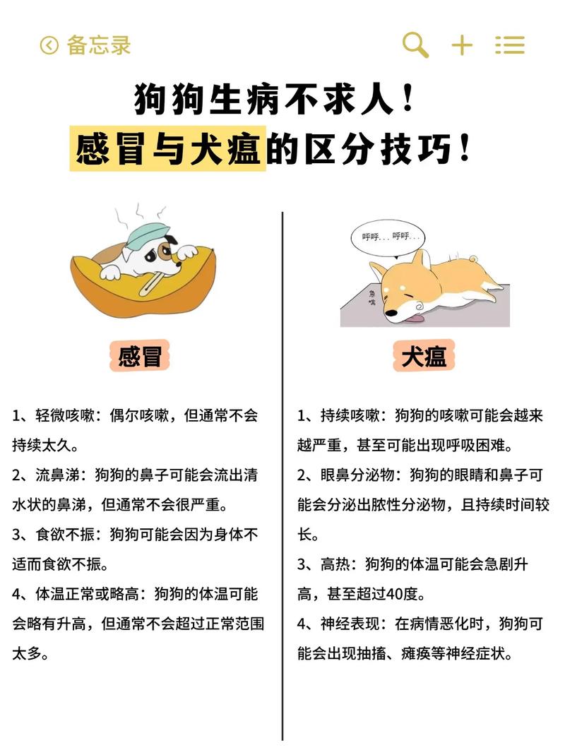 狗犬瘟和感冒症状一样