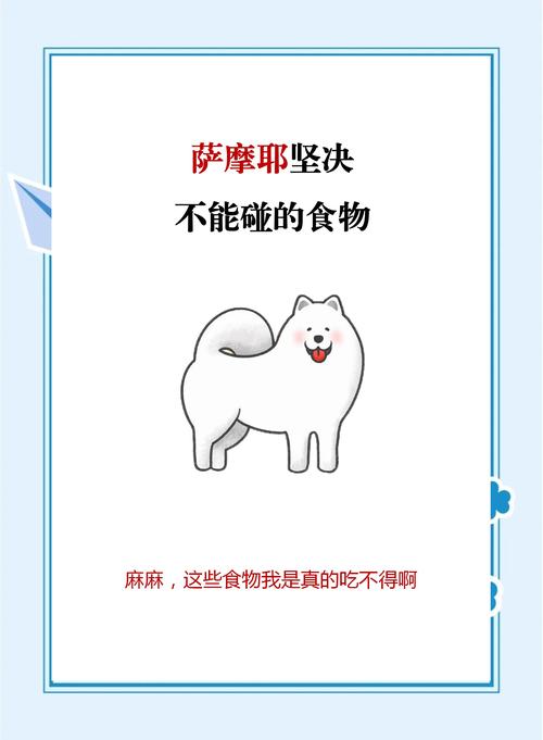 萨摩耶吃什么?