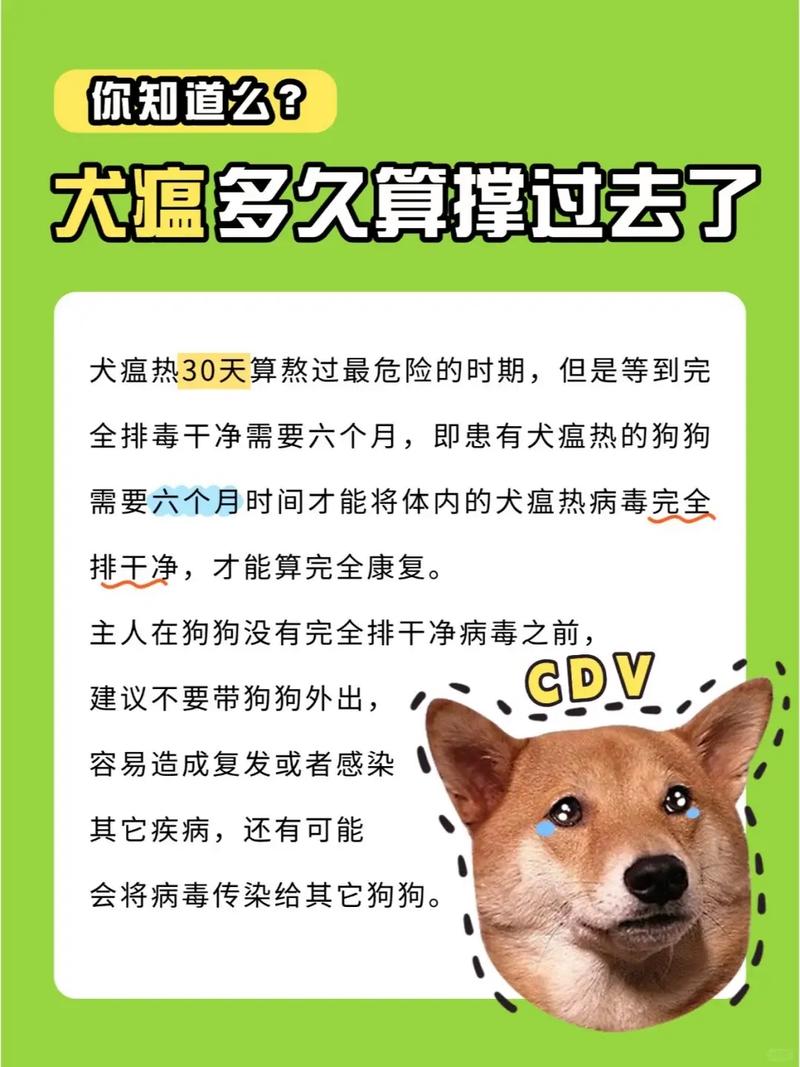狗狗得了狗瘟,请问如果坚持多少天不挂,就能撑过去