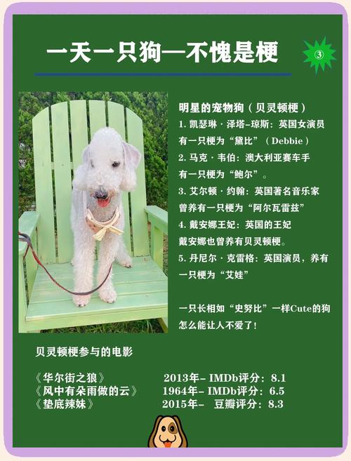 贝林登梗犬和贝灵顿梗区别