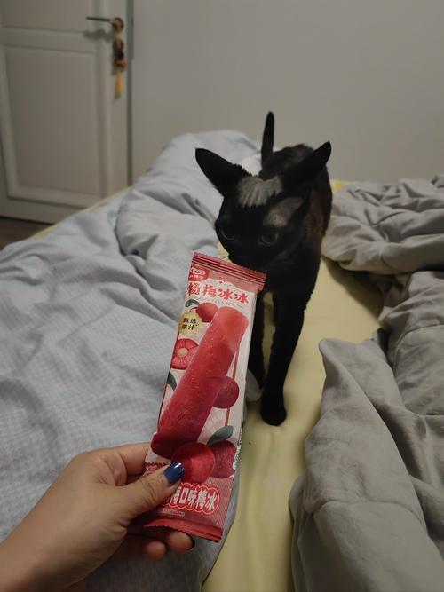 幼猫偷吃了雪糕会怎么样?