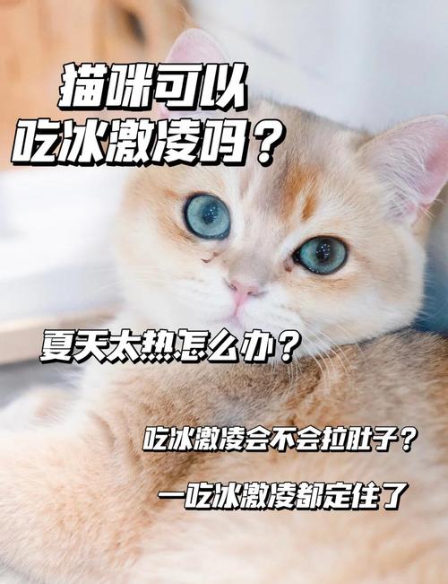 小奶猫能不能吃冰淇淋雪糕