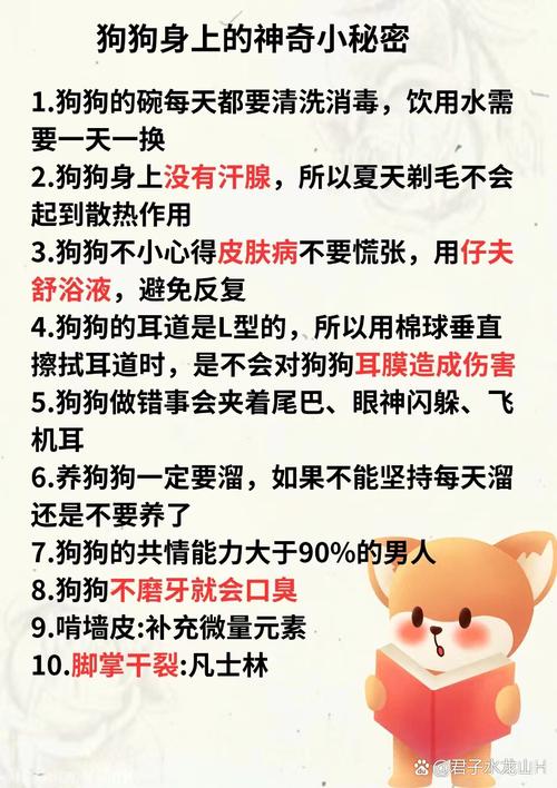 为什么狗狗身上没有汗腺