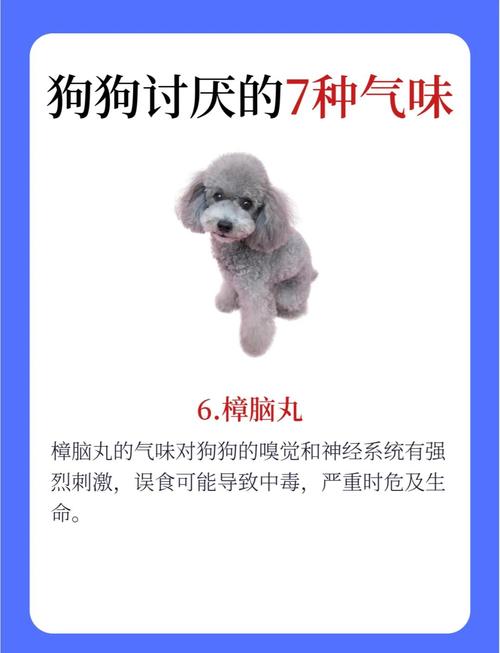 狗狗为什么怕一种特殊气味?