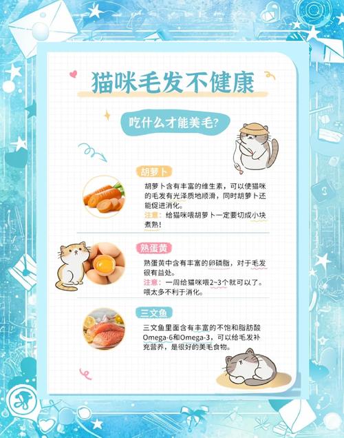 吃什么让猫的毛色发亮