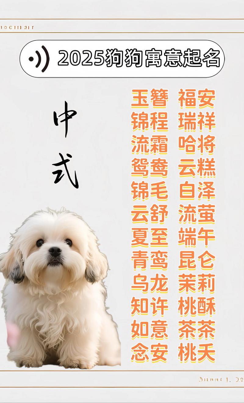 狗狗的名字霸气又招财