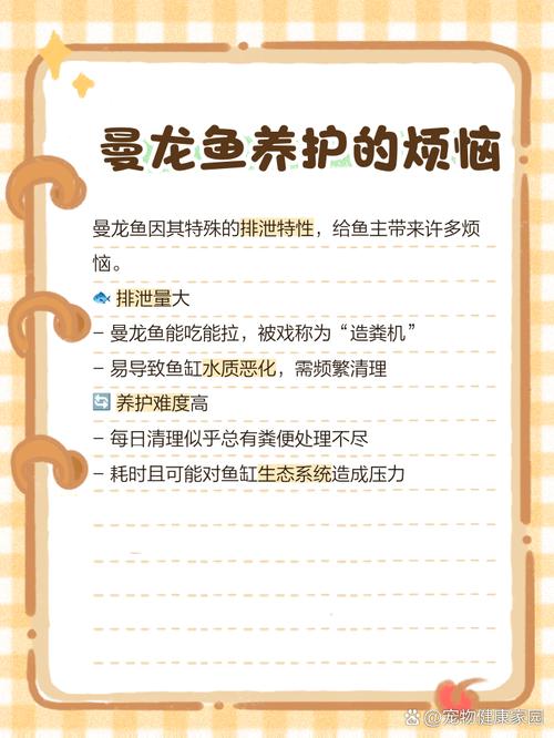 金曼龙为什么会追逐其它小鱼?