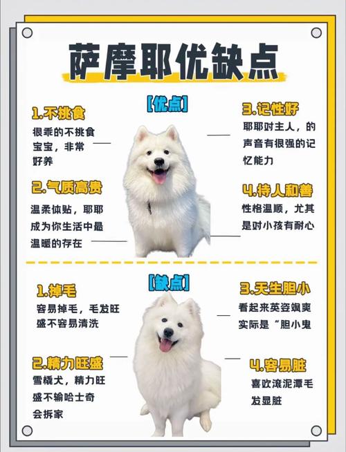 爱斯基摩犬和萨摩耶的区别