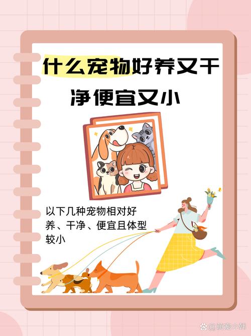 养什么小宠物比较干净,没有异味?