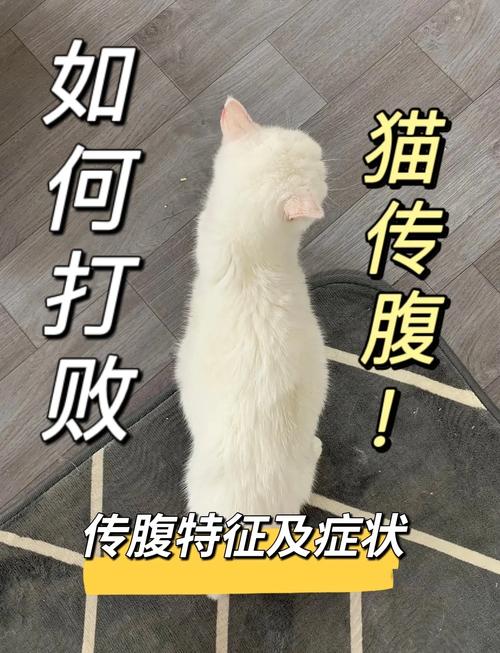猫传腹有疫苗吗?