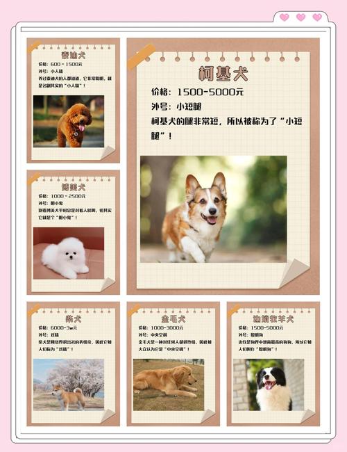 求助,大虾们,这两支狗狗的名称,费用
(南宁)