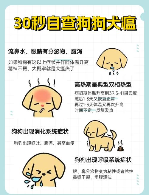 狗狗得了狗瘟怎么办