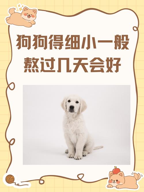 细小病毒狗狗撑过几天可以没事?