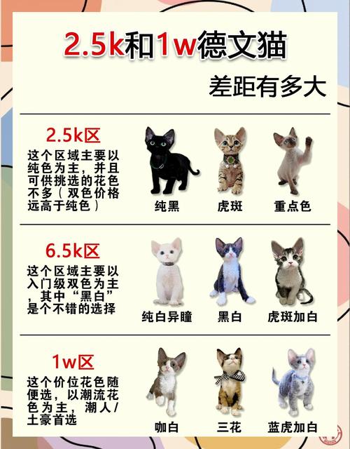 家养豹猫的种类?