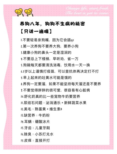 为什么流浪狗的寿命比较短呢?