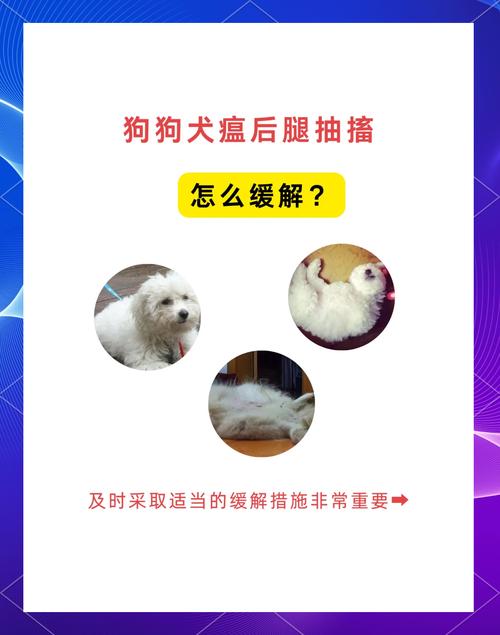 犬瘟晚期抽搐还有救吗?