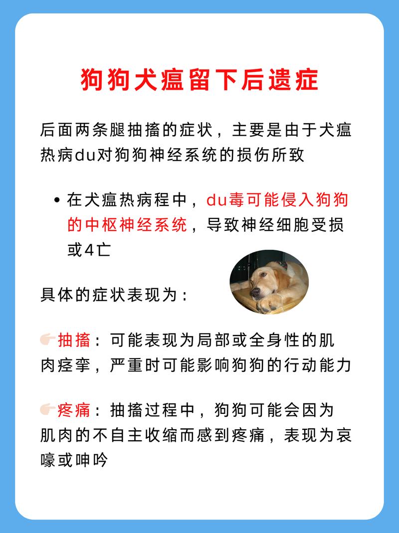 犬瘟后遗症抽搐会慢慢恢复吗