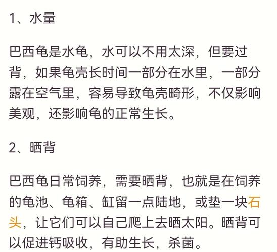 家里为什么不能养巴西龟