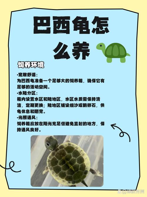 巴西龟能养家里吗?