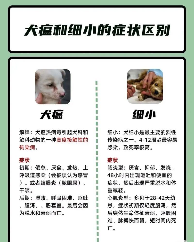 怎么防止狗狗得细小和犬瘟?