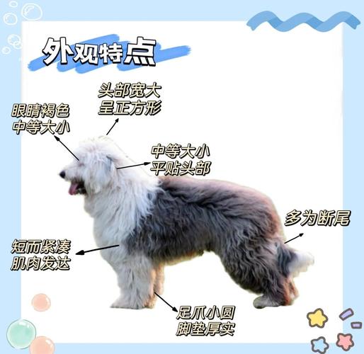 古牧犬怎么样好养活?