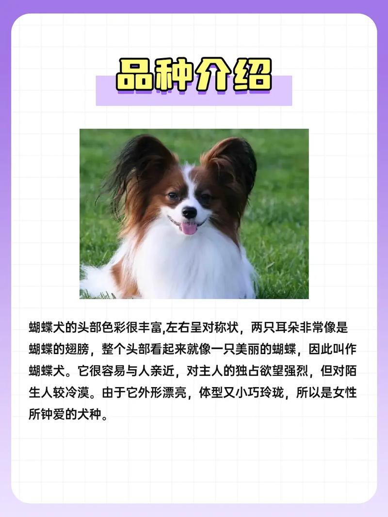 狗的品种有哪些(图文)