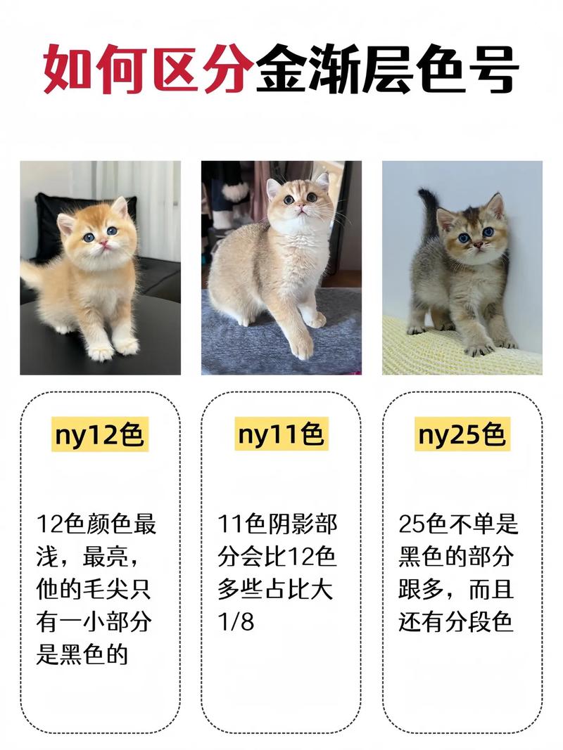 金渐层色号对比表