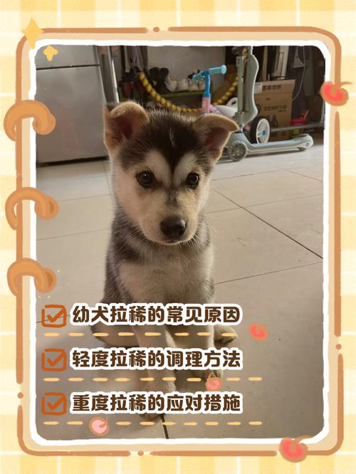 幼犬一直拉稀怎么办