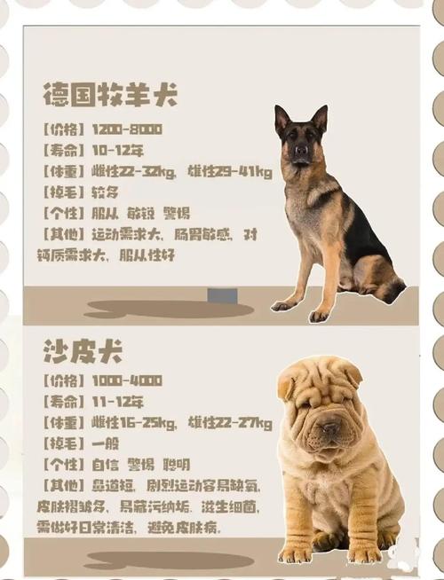 黑熊犬是禁养犬吗