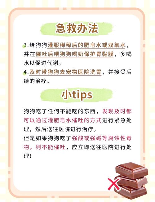 狗吃了巧克力怎么办补救