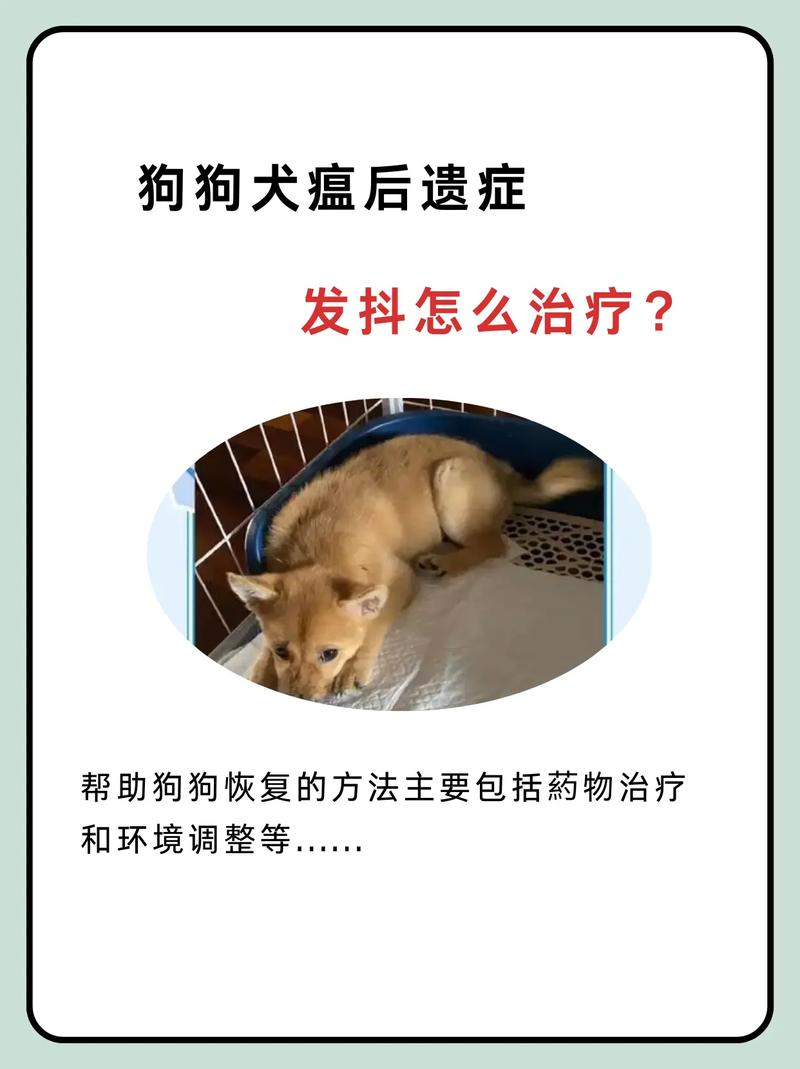 狗狗犬瘟后遗症怎么治疗
