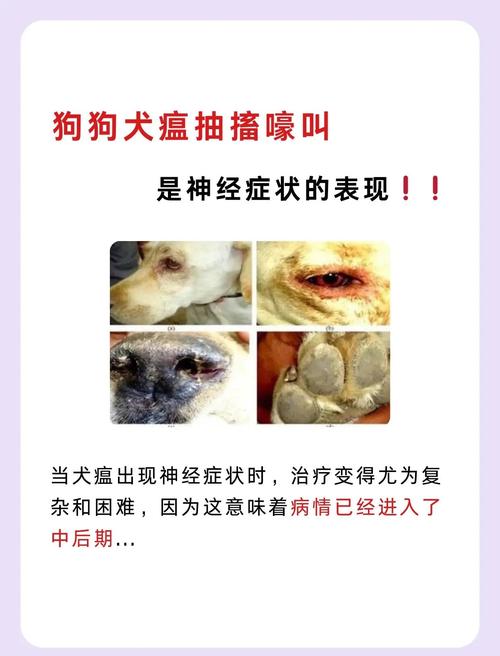 狗瘟后遗症有什么症状,如何治疗