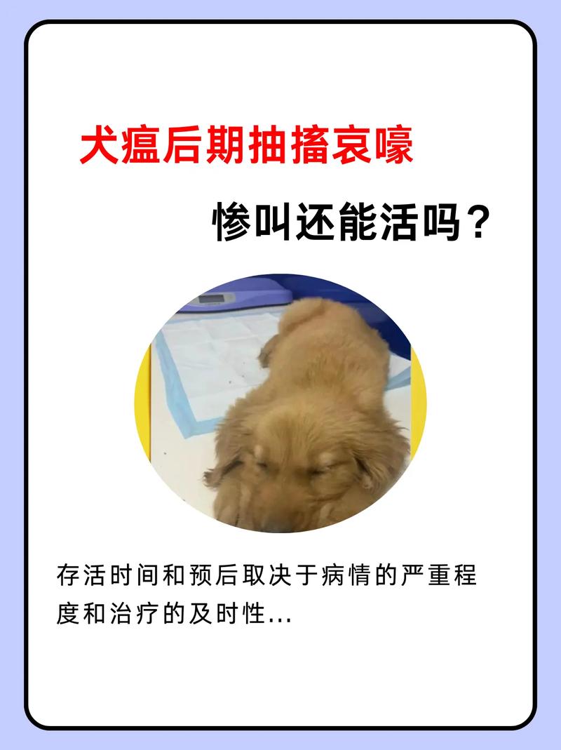 狗瘟后遗症