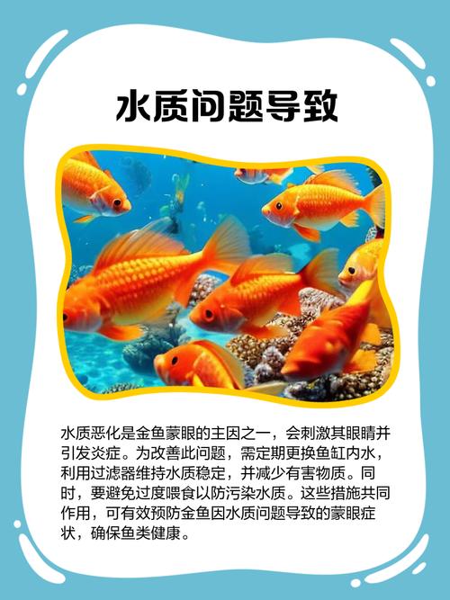 金鱼蒙眼病怎么治疗