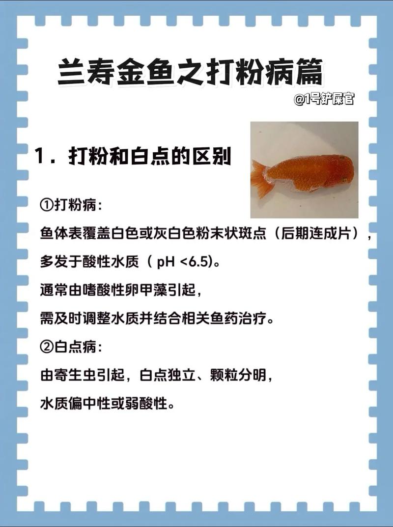金鱼蒙眼病如何治