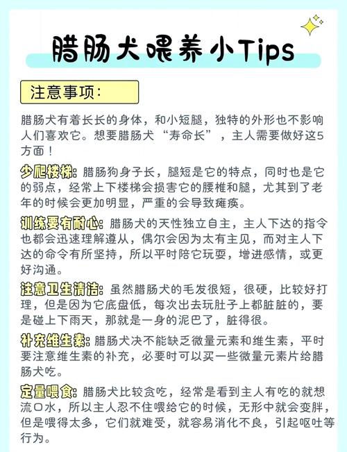 腊肠犬营养不良会有哪些症状?