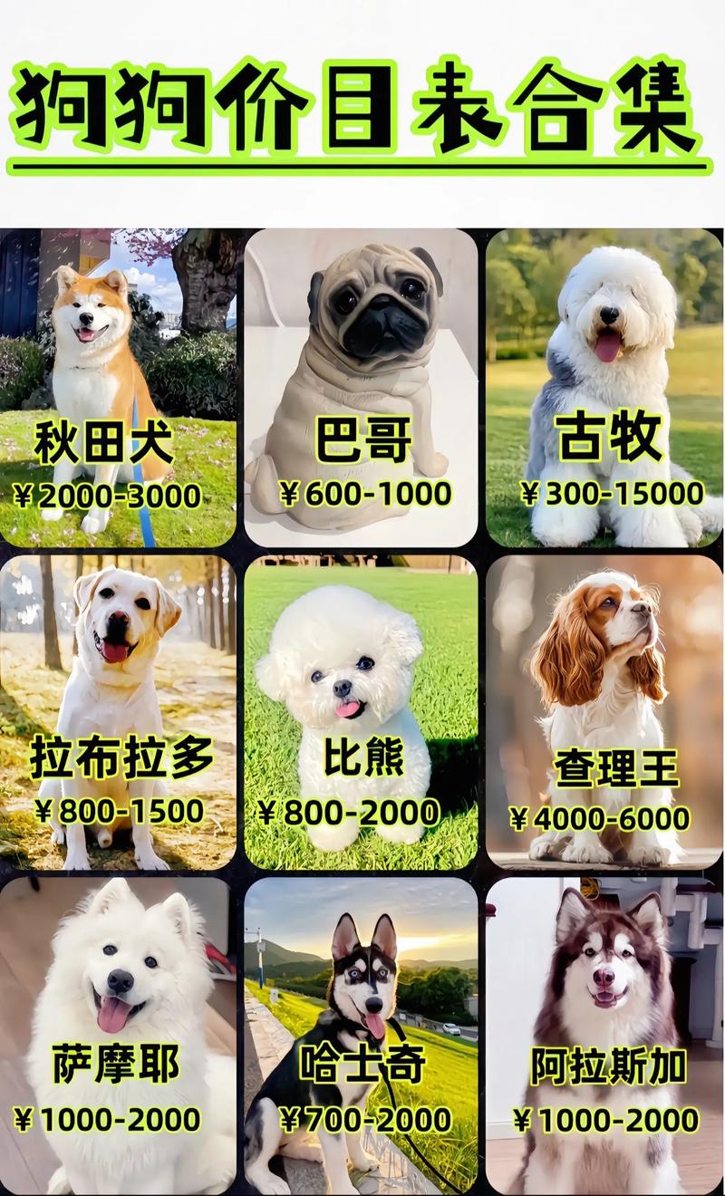 一般宠物狗多少钱一只啊