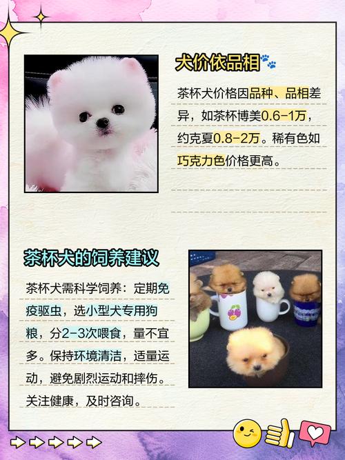 宠物狗费用
多少一只