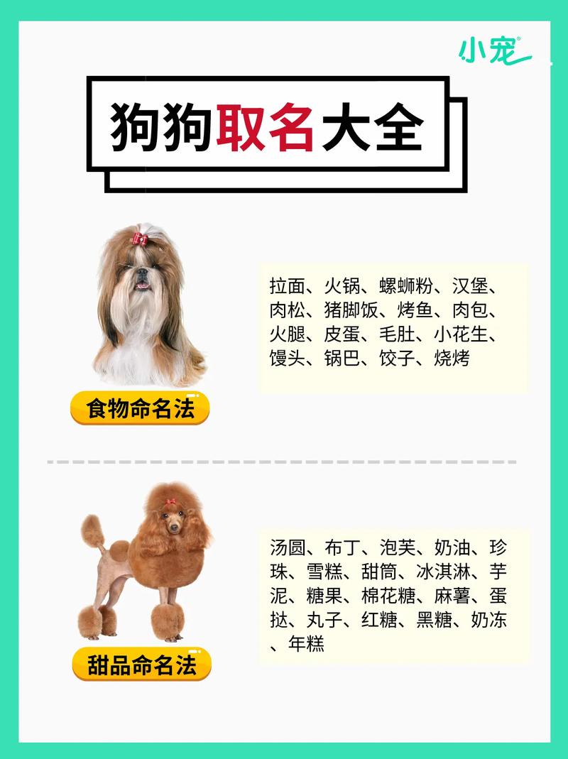 叫狗狗什么名字好听同时会带给它好运?