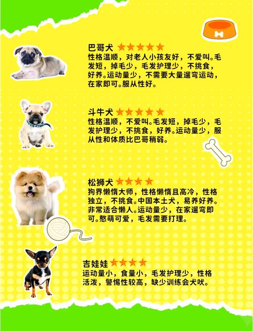 12种最适合懒人养的宠物便宜?