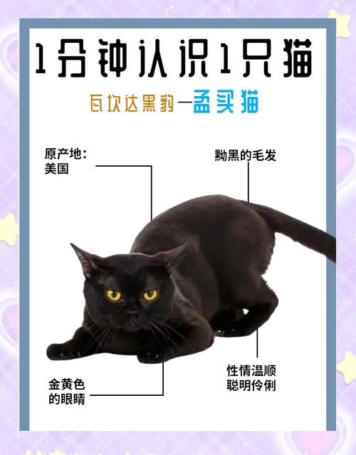 什么陆地上的小动物比较好
养.不费事???