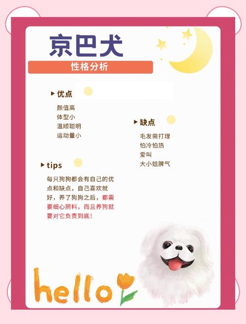 京巴狗怎么饲养