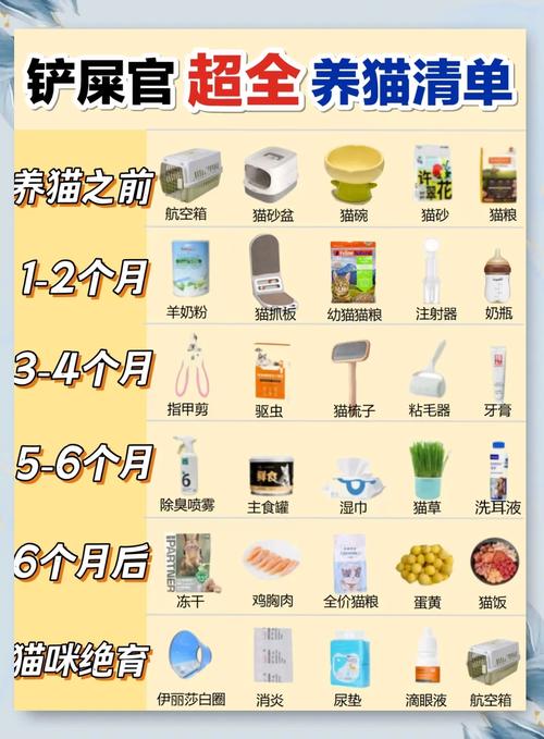 养猫前需要做哪些准备