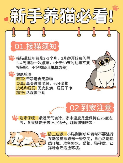 世界上有多少种猫?