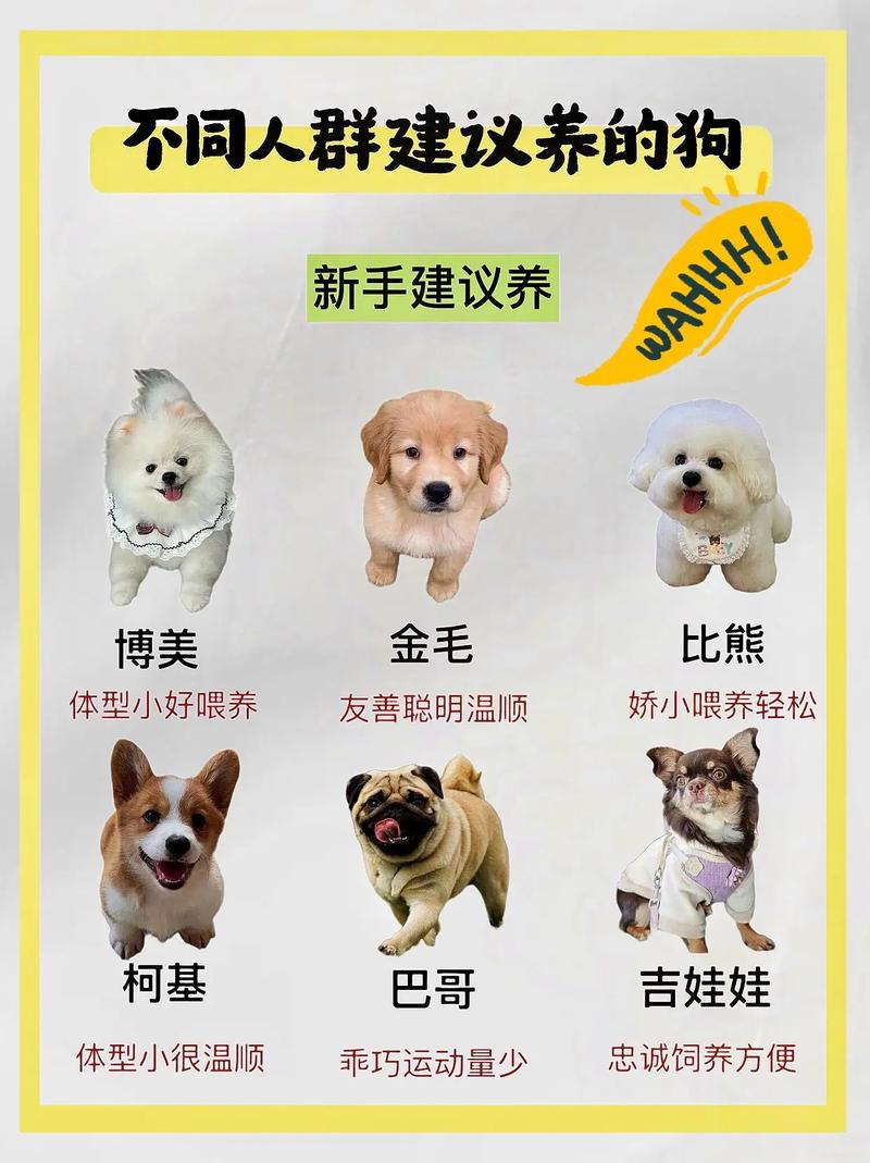 适合小孩养的前十
宠物