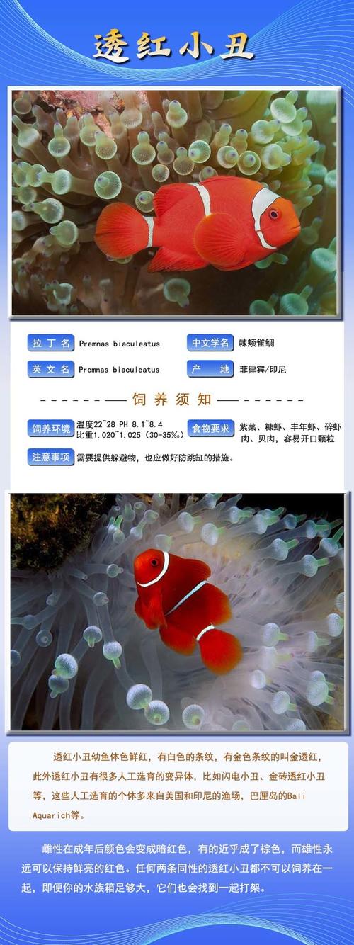 小丑鱼盐度多少比较好
